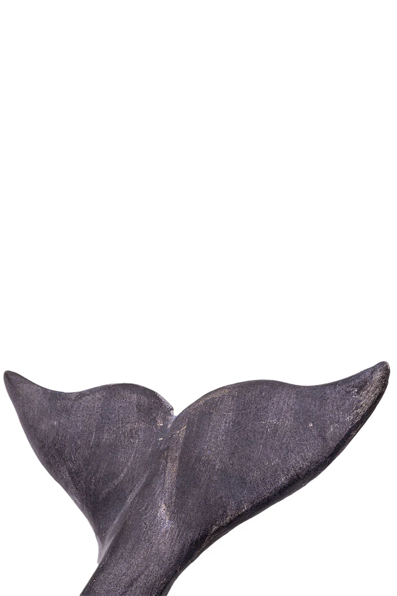 Baleine 80x27 cm - Image 3